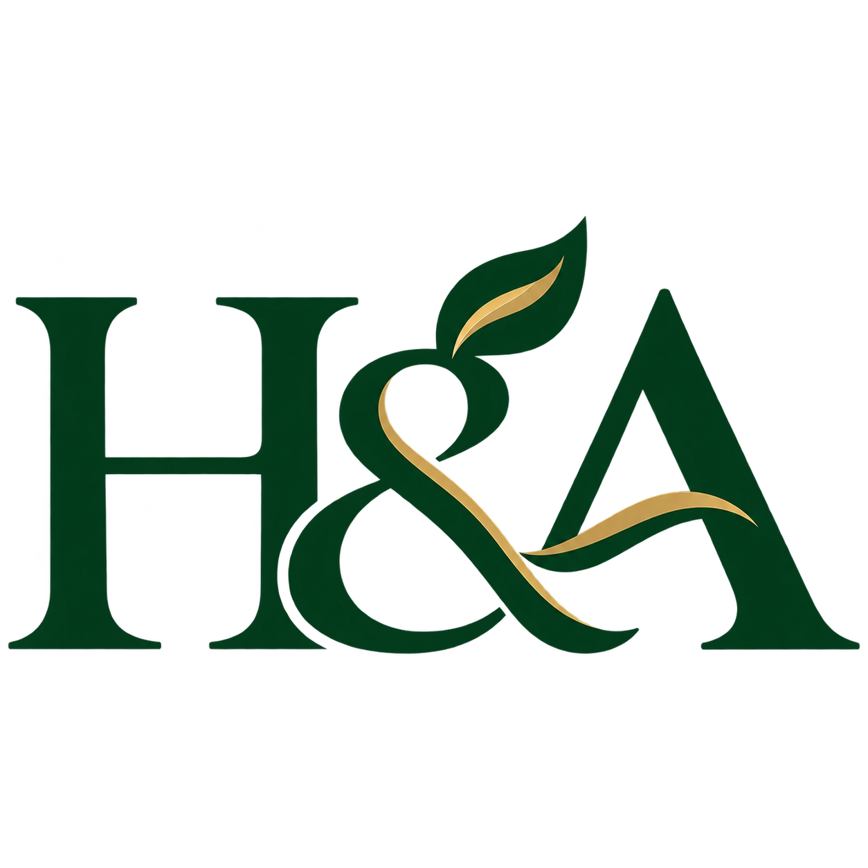 H&A